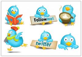 followers twitter